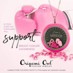 Breast Cancer locket